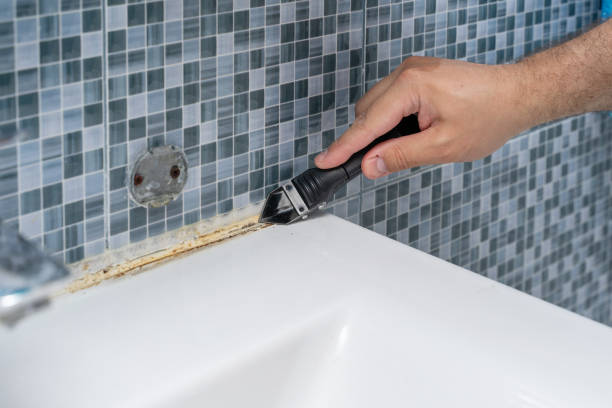Best Residential Mold Removal  in Balm, FL
